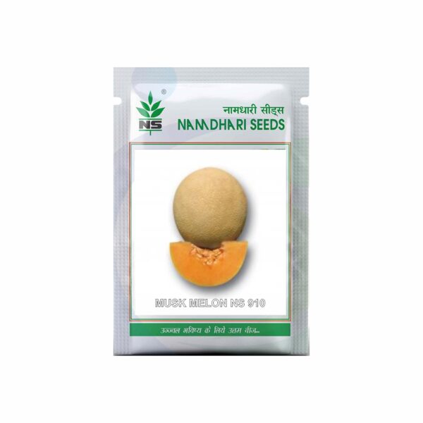Namdhari MUSK MELON NS 910 (50GM)