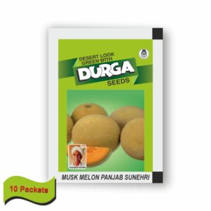 DURGA MUSK MELON PUNJAB SUNHERA (25 gm)(10 packets)
