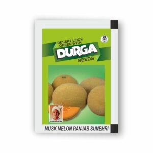 DURGA MUSK MELON PUNJAB SUNHERA (kitchen garden packet) (Minimum 10 Packets)