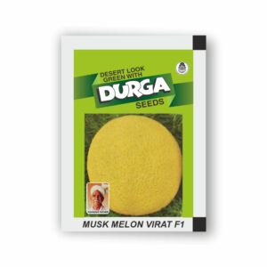 DURGA hybrid MUSK MELON VIRAT F1(kitchen garden packet) (Minimum 10 Packets)