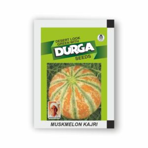 DURGA MUSK MELON KAJRI (kitchen garden packet) (Minimum 10 Packets)