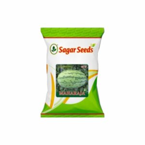 Sagar Maharaja F-1 Hybrid Watermelon Seeds (50 GM)