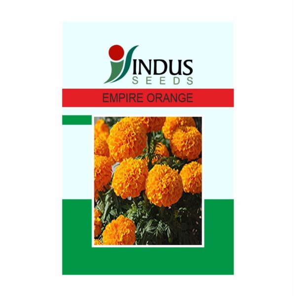 I&B MARIGOLD HY. EMPIRE ORANGE (1000 SEED)