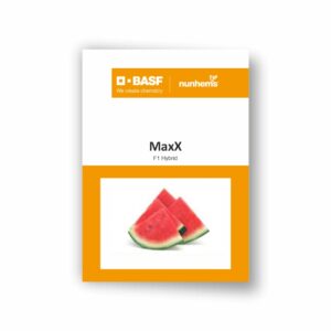 BASF Nunhems Watermelon MAXX (1000 Seeds)