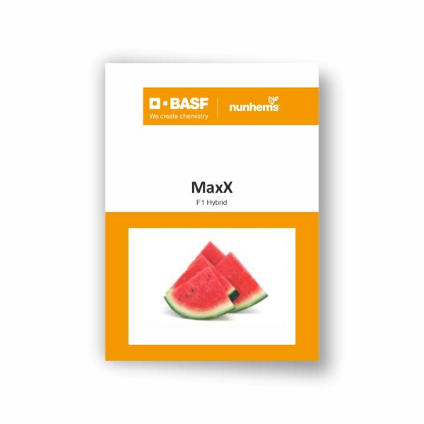 BASF Nunhems Watermelon MAXX (1000 Seeds)