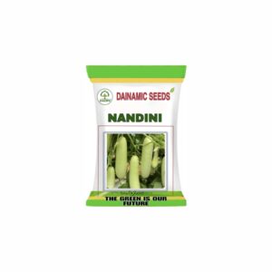 DAINAMIC CUCUMBER NANDINI (50 gm)