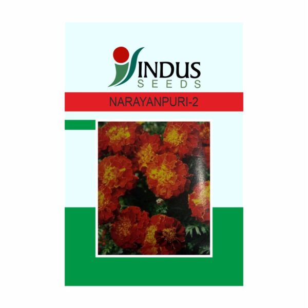 INDUS NARAYANPURI -2 MARIGOLD 10 GM