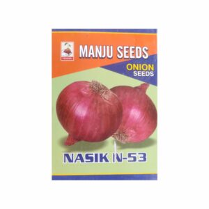 manju Nashik Red N 53 onion seeds (1KG)(PACK OF 10)