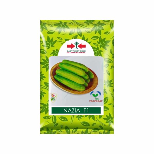 East West CUCUMBER NAZIA (800 SEEDS)
