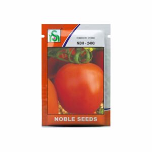 NOBLE TOMATO NBH-2403 (10 gm)
