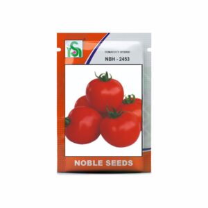 NOBLE TOMATO NBH-2453 (10 gm)