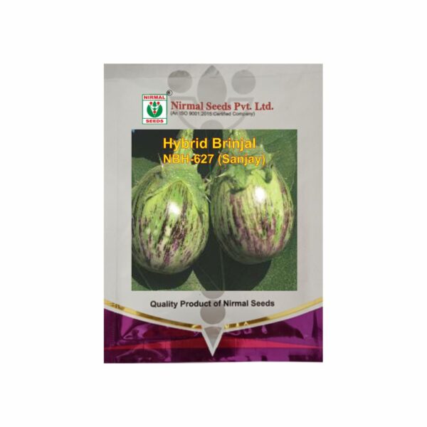NIRMAL HY.BRINJAL NBH-627 SANJAY (10 GM)