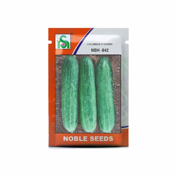 NOBLE CUCUMBER NBH-842 (10 GM)