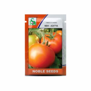NOBLE TOMATO NBH-ADITYA (10 gm)