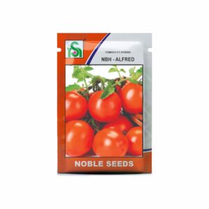 NOBLE TOMATO NBH- Alfred (10 gm)