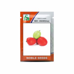 NOBLE TOMATO NBH-ANAND(Improved) (10 gm)