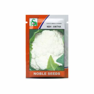 NOBLE CAULIFLOWER NBH-ANITHA (10 gm)