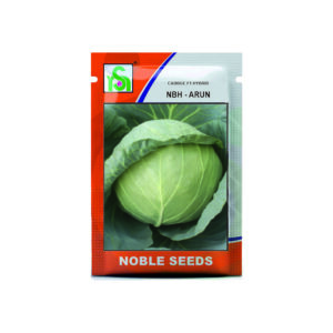NOBLE CABBAGE NBH-ARUN (10 gm)