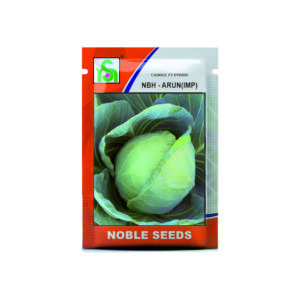 NOBLE CABBAGE NBH-ARUN(IMP) (10 gm)