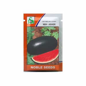 NOBLE WATERMELON NBH-ASHER (10 gm)