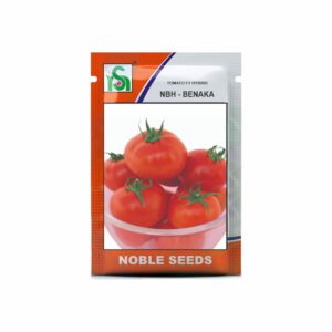 NOBLE TOMATO NBH-BENAKA (10 gm)