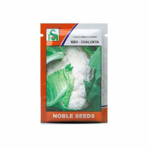 NOBLE CAULIFLOWER NBH- CHALUKYA (10 gm)