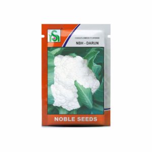 NOBLE CAULIFLOWER NBH-DARUN (10 gm)
