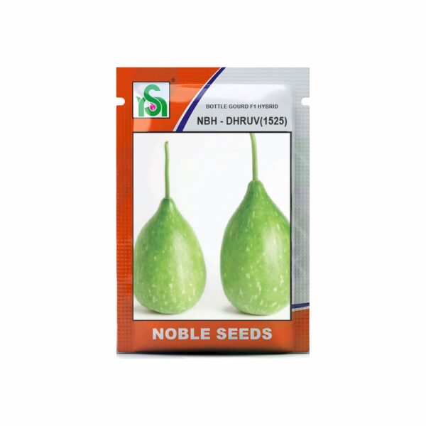NOBLE BOTTLE GOURD NBH-DHRUV(1525) (25 gm)
