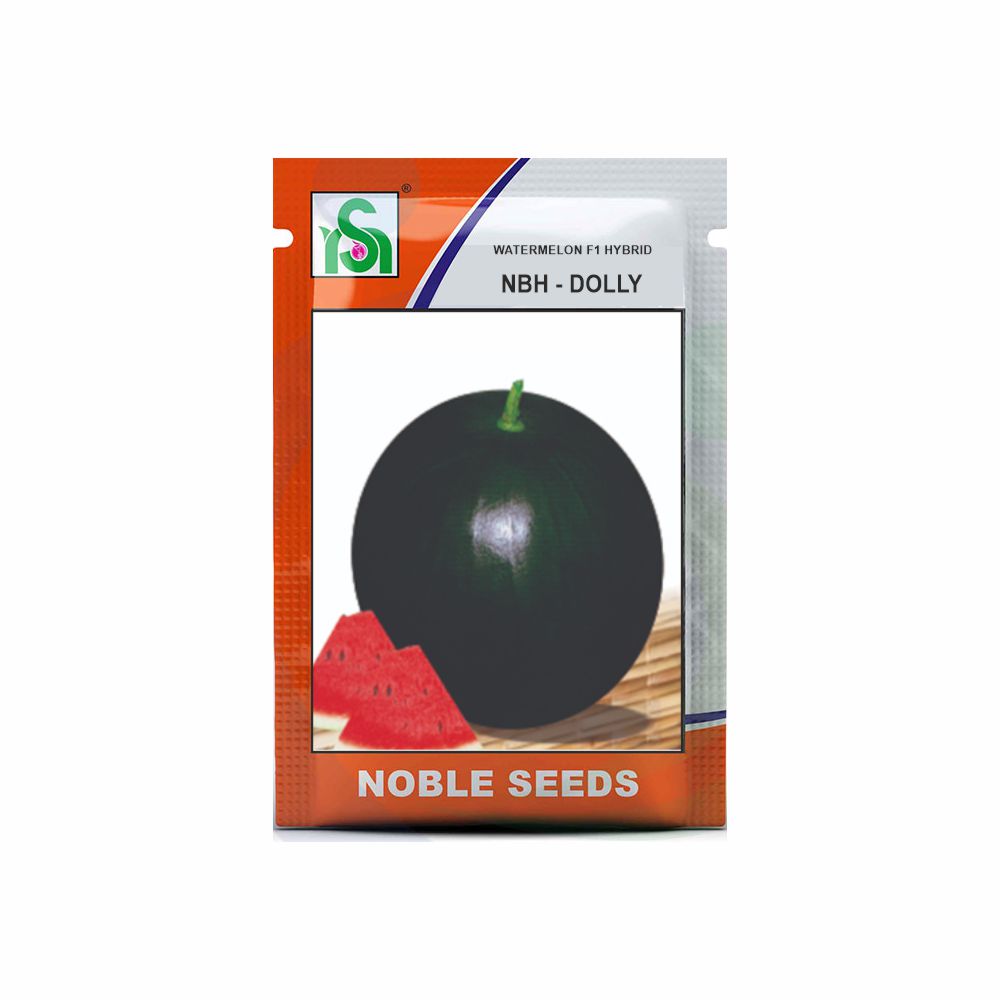 NOBLE WATERMELON NBH-DOLLY (50 gm)