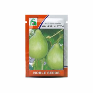 NOBLE BOTTLE GOURD NBH-EARLY LATTOO (10 gm)