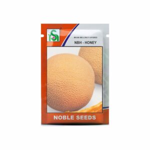 NOBLE MUSK MELON NBH- HONEY (25 gm)