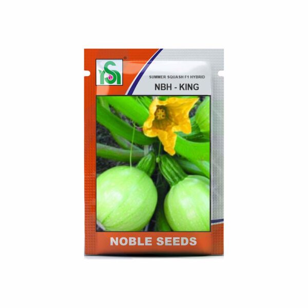 NOBLE SUMMER SQUASH NBH-KING (50 gm)