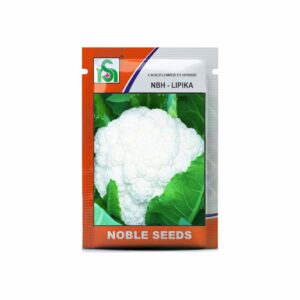 NOBLE CAULIFLOWER NBH-Lipika (10 gm)