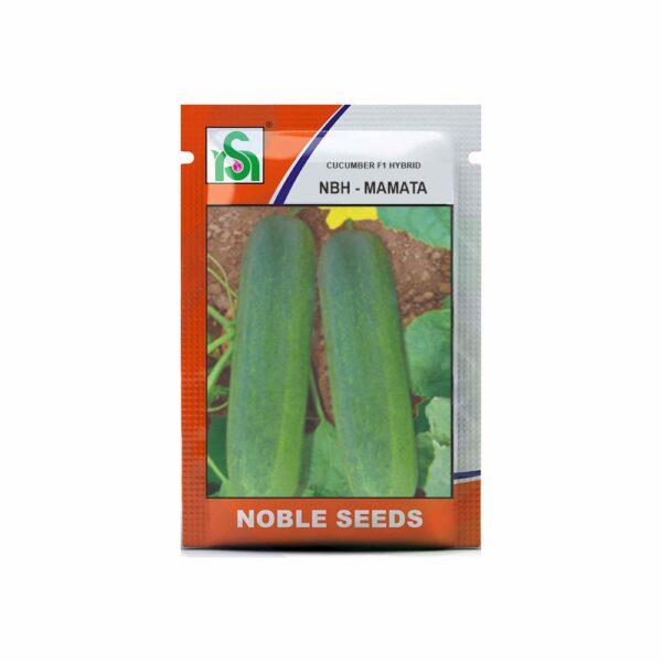 NOBLE CUCUMBER NBH-MAMTA (8 GM)