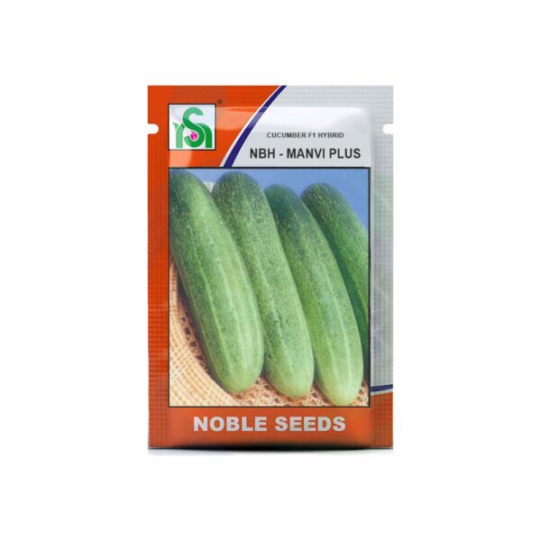 NOBLE CUCUMBER NBH-MANVI PLUS (8 gm)