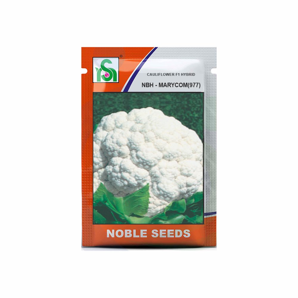 NOBLE CAULIFLOWER NBH-MARYCOM(977) (10 gm)