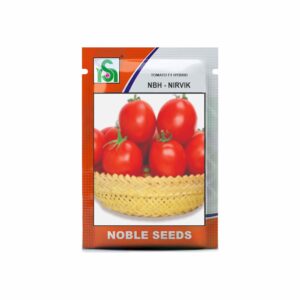 NOBLE Tomato NBH-NIRVIK (10 gm)