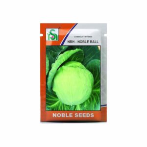 NOBLE CABBAGE NBH-NOBLE BALL (100 gm)
