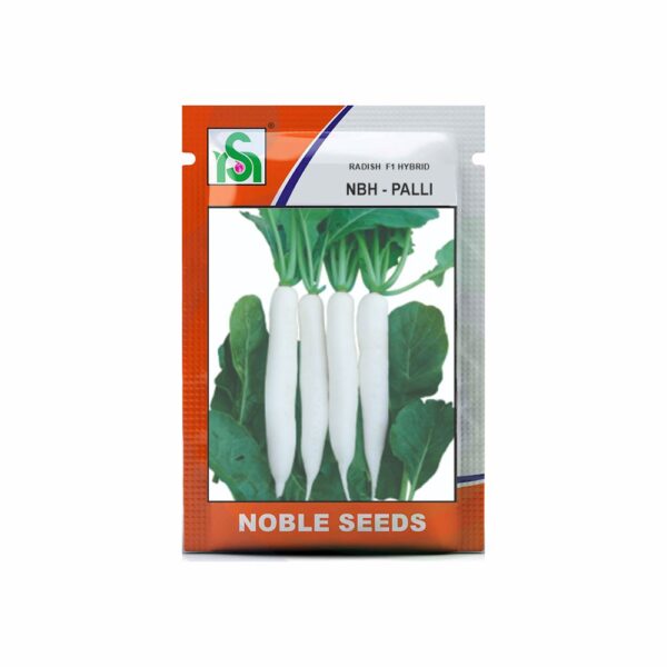 NOBLE RADISH NBH-PALI (100 gm)