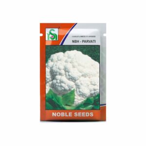 NOBLE CAULIFLOWER NBH-PARVATI (10 gm)