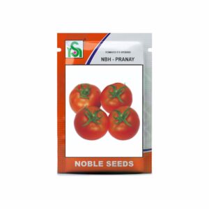 NOBLE Tomato NBH-Pranay (10 gm)