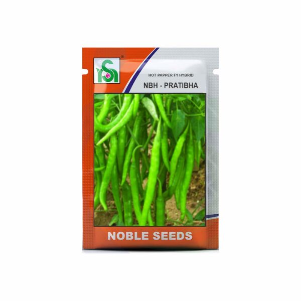 NOBLE HOT PEPPER NBH-PALLAVI(1104)/Pratibha (10 gm)
