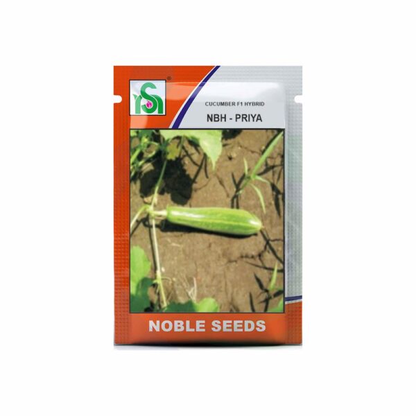 NOBLE CUCUMBER NBH-PRIYA (50 gm)