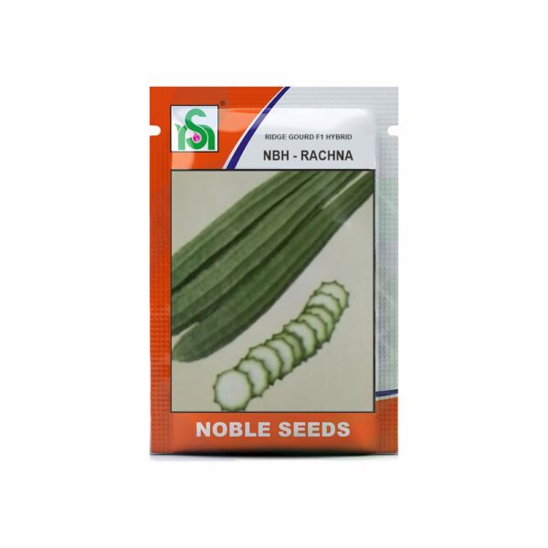 NOBLE RIDGE GOURD NBH-RACHNA (10 gm)