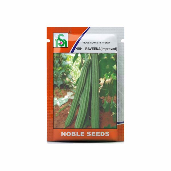 NOBLE RIDGE GOURD NBH-RAVEENA(IMP) (25 gm)