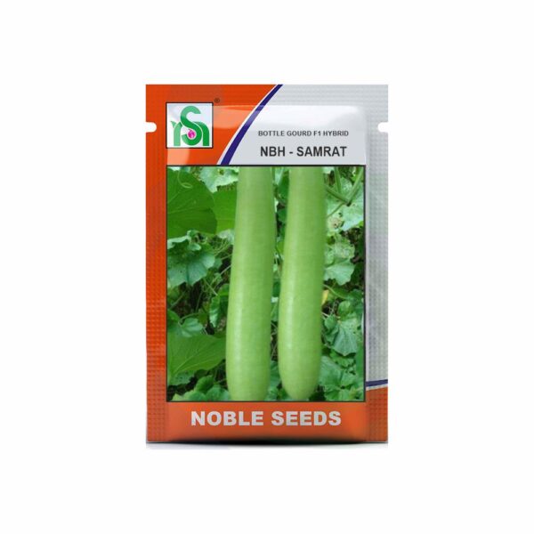 NOBLE BOTTLE GOURD NBH-SAMRAT (25 gm)