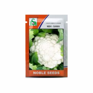 NOBLE CAULIFLOWER SANIA (10 gm)