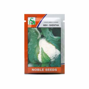 NOBLE CAULIFLOWER NBH-SHENTHA (10 gm)