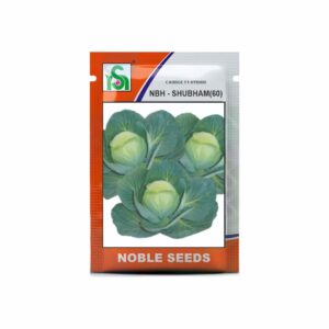 NOBLE CABBAGE NBH-SHUBHAM(60) (10 gm)