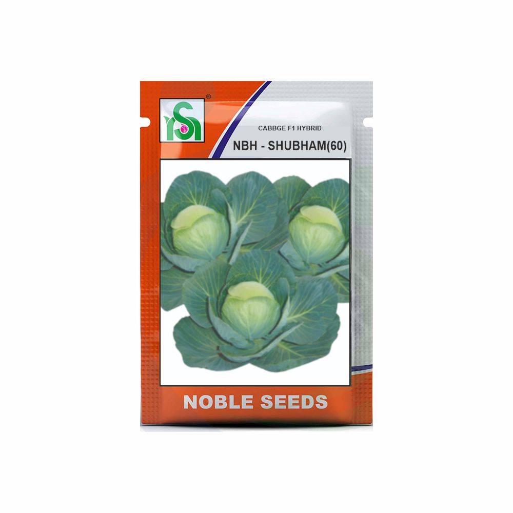 NOBLE CABBAGE NBH-SHUBHAM(60) (10 gm)